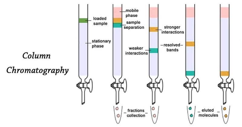 Four Factors Affecting Chromatographic Peaks