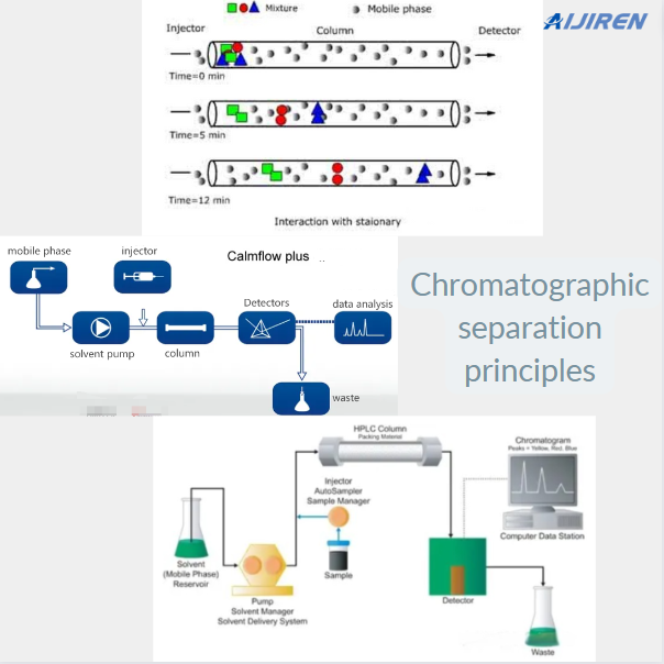 Chromatographic separation principles(Ⅱ)